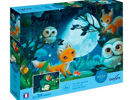 Kids  Puzzles - Under The Moonlight, 2 x 24 Pieces Online now