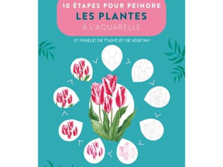 10 étapes pour dessiner les plantes - French Ed Supply