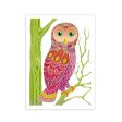 Aquarellum Junior Painting Kit - Owls Cheap