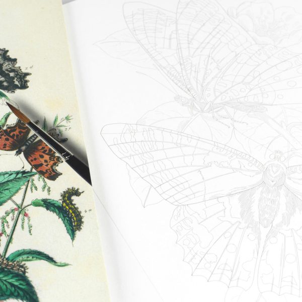 Artists  Colouring Book: Natural History For Cheap