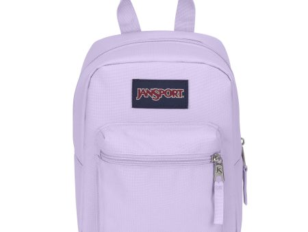 Big Break Lunch Bag - Pastel Lilac on Sale