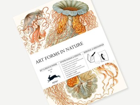 Gift & Creative Papers: Art Forms in Nature Fashion