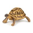 Animal Figurine - Hermann s Tortoise on Sale