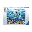 500-Piece Puzzle -  Dolphins  Discount